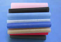 庆阳涤纶（PET）无纺布是什么